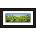 thumbnail image 1 of Hausenflock, Alan 24x11 Black Ornate Wood Framed with Double Matting Museum Art Print Titled - Sunny Sunflowers I, 1 of 4