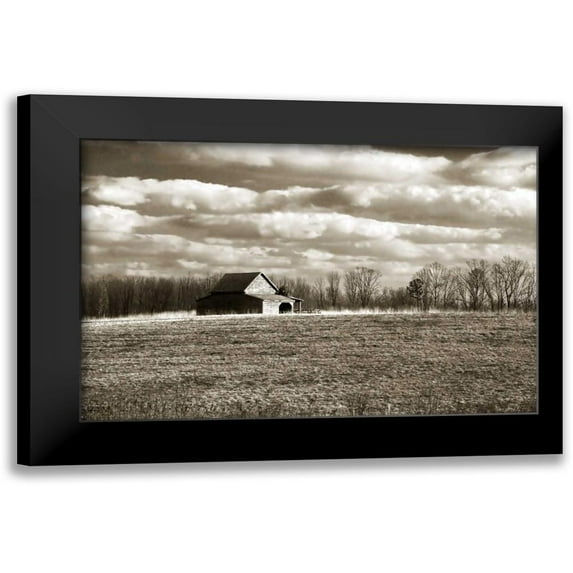 Hausenflock, Alan 24x17 Black Modern Framed Museum Art Print Titled - Cloudy Skies II