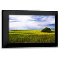 thumbnail image 1 of Hausenflock, Alan 24x17 Black Modern Framed Museum Art Print Titled - Marshland Storm II, 1 of 5