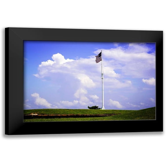 Hausenflock, Alan 24x17 Black Modern Framed Museum Art Print Titled - Ol Glory II