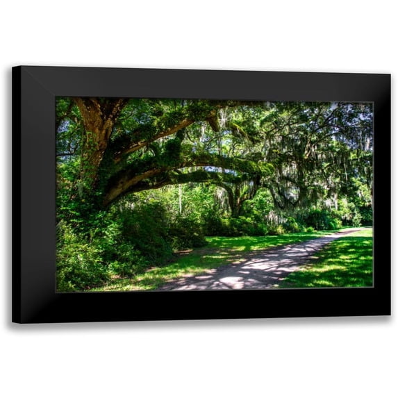 Hausenflock, Alan 24x17 Black Modern Framed Museum Art Print Titled - Plantation Walk