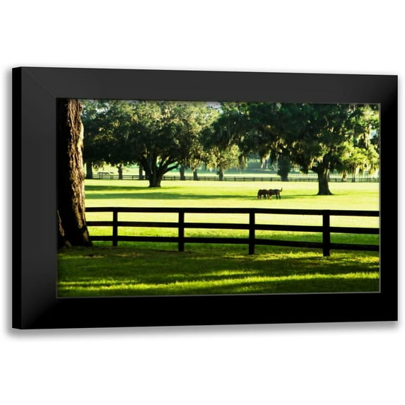 Hausenflock, Alan 24x17 Black Modern Framed Museum Art Print Titled - Serene Horses I