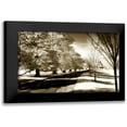 thumbnail image 1 of Hausenflock, Alan 24x17 Black Modern Framed Museum Art Print Titled - Stately Magnolias I, 1 of 5