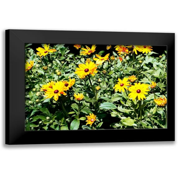 Hausenflock, Alan 24x17 Black Modern Framed Museum Art Print Titled - Yellow Daisies I