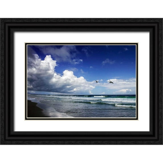 Hausenflock, Alan 24x17 Black Ornate Wood Framed with Double Matting Museum Art Print Titled - Awesome Beach Day I