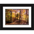 thumbnail image 1 of Hausenflock, Alan 24x17 Black Ornate Wood Framed with Double Matting Museum Art Print Titled - Hanover Forest II, 1 of 4