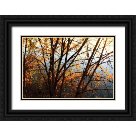 Hausenflock, Alan 24x17 Black Ornate Wood Framed with Double Matting Museum Art Print Titled - Leaves of Orange III
