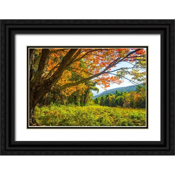 Hausenflock, Alan 24x17 Black Ornate Wood Framed with Double Matting Museum Art Print Titled - Old Mountain Maple