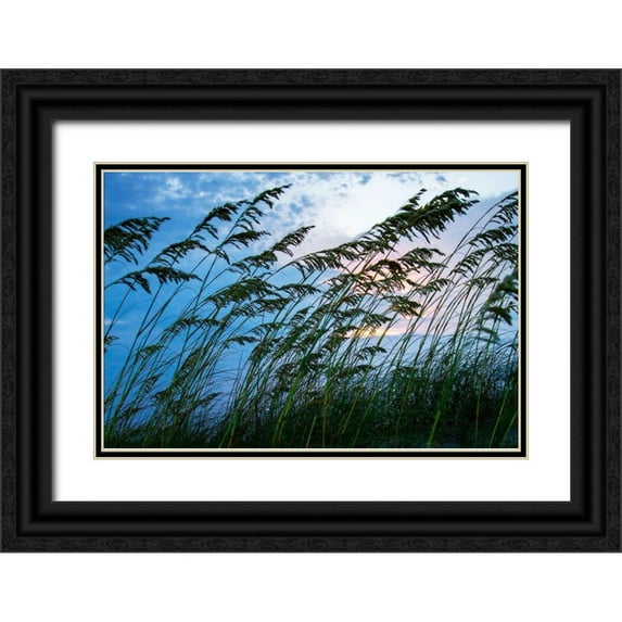 Hausenflock, Alan 24x17 Black Ornate Wood Framed with Double Matting Museum Art Print Titled - Stormy Beach II