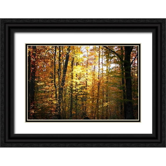 Hausenflock, Alan 24x17 Black Ornate Wood Framed with Double Matting Museum Art Print Titled - Sunset Through the Woods I