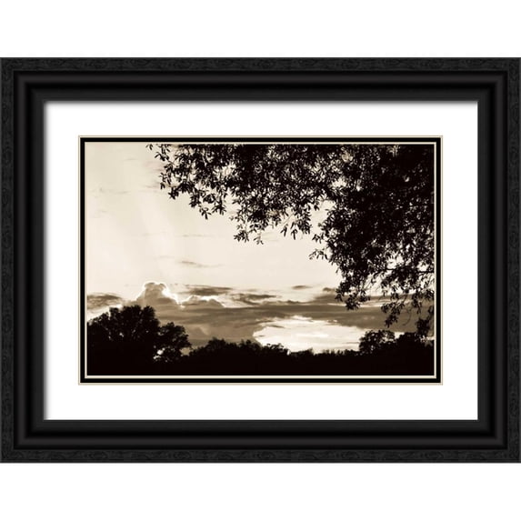 Hausenflock, Alan 24x17 Black Ornate Wood Framed with Double Matting Museum Art Print Titled - Sunset through Trees I