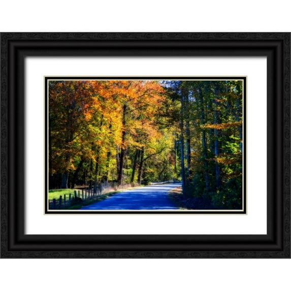 Hausenflock, Alan 24x17 Black Ornate Wood Framed with Double Matting Museum Art Print Titled - Twisting Autumn Road II