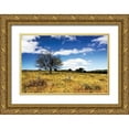 thumbnail image 1 of Hausenflock, Alan 24x17 Gold Ornate Wood Framed with Double Matting Museum Art Print Titled - Big Meadow I, 1 of 4