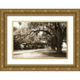 thumbnail image 1 of Hausenflock, Alan 24x17 Gold Ornate Wood Framed with Double Matting Museum Art Print Titled - Charleston Oaks 9 Sepia, 1 of 4