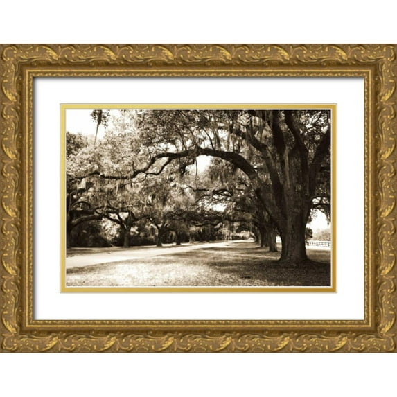 Hausenflock, Alan 24x17 Gold Ornate Wood Framed with Double Matting Museum Art Print Titled - Charleston Oaks 9 Sepia