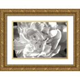 thumbnail image 1 of Hausenflock, Alan 24x17 Gold Ornate Wood Framed with Double Matting Museum Art Print Titled - Fancy Flower II, 1 of 4