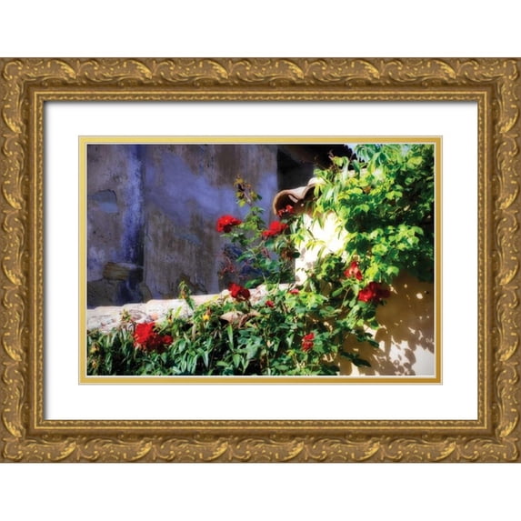 Hausenflock, Alan 24x17 Gold Ornate Wood Framed with Double Matting Museum Art Print Titled - Flowers on a Mission Wall III