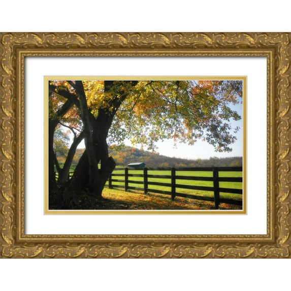 Hausenflock, Alan 24x17 Gold Ornate Wood Framed with Double Matting Museum Art Print Titled - Hillside Farm II