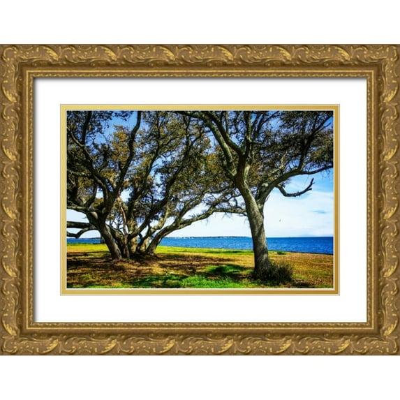 Hausenflock, Alan 24x17 Gold Ornate Wood Framed with Double Matting Museum Art Print Titled - Live Oaks By The Bay I