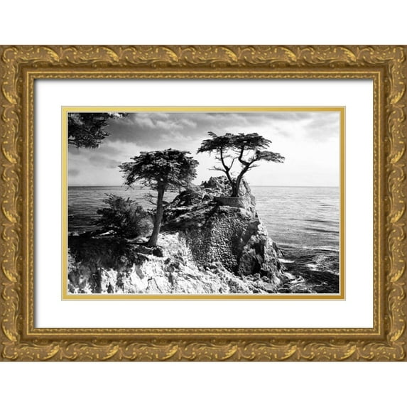 Hausenflock, Alan 24x17 Gold Ornate Wood Framed with Double Matting Museum Art Print Titled - Ocean Cliff I