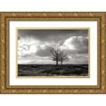 thumbnail image 1 of Hausenflock, Alan 24x17 Gold Ornate Wood Framed with Double Matting Museum Art Print Titled - Winter Silence II, 1 of 4
