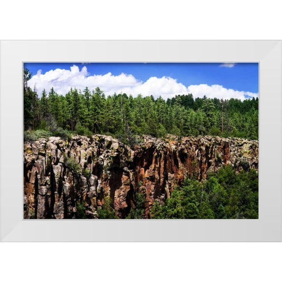 Hausenflock, Alan 24x17 White Modern Wood Framed Museum Art Print Titled - Bones of the Earth