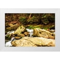 thumbnail image 1 of Hausenflock, Alan 24x17 White Modern Wood Framed Museum Art Print Titled - Covington Woods I, 1 of 4