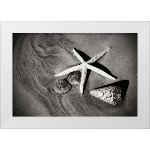 Hausenflock, Alan 24x17 White Modern Wood Framed Museum Art Print Titled - Tracks of the Tide II