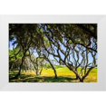 thumbnail image 1 of Hausenflock, Alan 24x17 White Modern Wood Framed Museum Art Print Titled - Windswept Barrier Island, 1 of 4