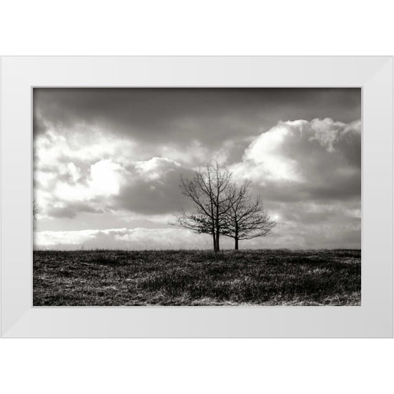 Hausenflock, Alan 24x17 White Modern Wood Framed Museum Art Print Titled - Winter Silence II