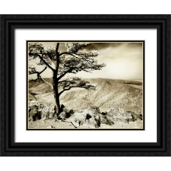 Hausenflock, Alan 24x19 Black Ornate Wood Framed with Double Matting Museum Art Print Titled - Lone Pine II