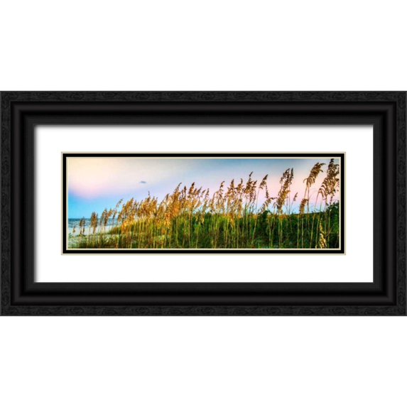Hausenflock, Alan 32x13 Black Ornate Wood Framed with Double Matting Museum Art Print Titled - Days End I