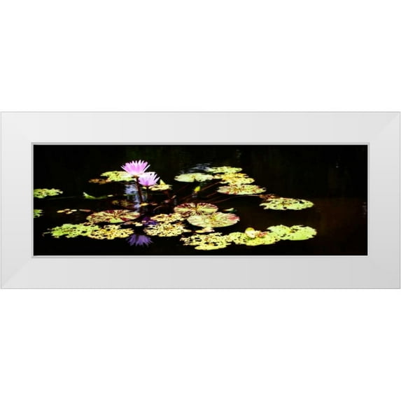Hausenflock, Alan 32x13 White Modern Wood Framed Museum Art Print Titled - Lake Lilies I