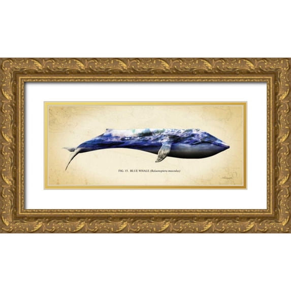 Hausenflock, Alan 32x15 Gold Ornate Wood Framed with Double Matting Museum Art Print Titled - Blue Whale