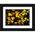 thumbnail image 1 of Hausenflock, Alan 32x23 Black Ornate Wood Framed with Double Matting Museum Art Print Titled - Autumn Impressions VIII, 1 of 4