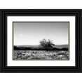 thumbnail image 1 of Hausenflock, Alan 32x23 Black Ornate Wood Framed with Double Matting Museum Art Print Titled - Big Meadow III, 1 of 4