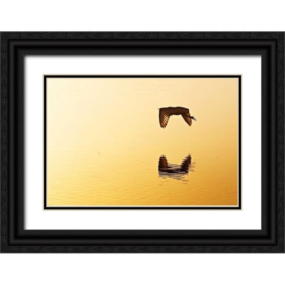 Hausenflock, Alan 32x23 Black Ornate Wood Framed with Double Matting Museum Art Print Titled - Egrets in the Sunrise III