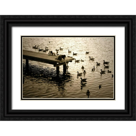 Hausenflock, Alan 32x23 Black Ornate Wood Framed with Double Matting Museum Art Print Titled - Feeding the Geese II