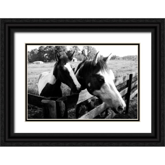 Hausenflock, Alan 32x23 Black Ornate Wood Framed with Double Matting Museum Art Print Titled - Stormy and Foal II