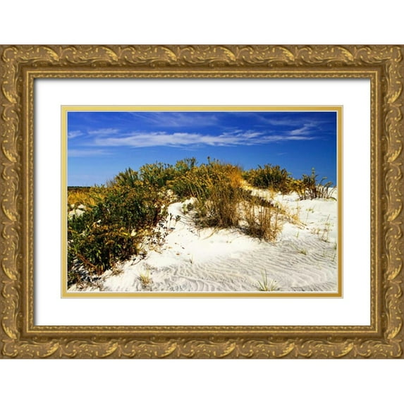 Hausenflock, Alan 32x23 Gold Ornate Wood Framed with Double Matting Museum Art Print Titled - Assateague Beach I