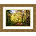 thumbnail image 1 of Hausenflock, Alan 32x23 Gold Ornate Wood Framed with Double Matting Museum Art Print Titled - Autumn Colors, 1 of 4