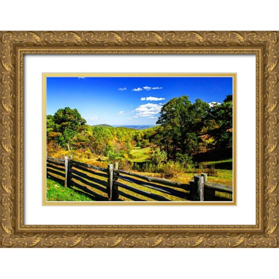 Hausenflock, Alan 32x23 Gold Ornate Wood Framed with Double Matting Museum Art Print Titled - Blue Ridge Backyard