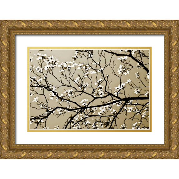 Hausenflock, Alan 32x23 Gold Ornate Wood Framed with Double Matting Museum Art Print Titled - Dogwood I