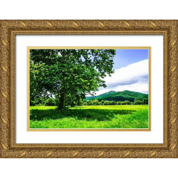 Hausenflock, Alan 32x23 Gold Ornate Wood Framed with Double Matting Museum Art Print Titled - Rappahannock County II