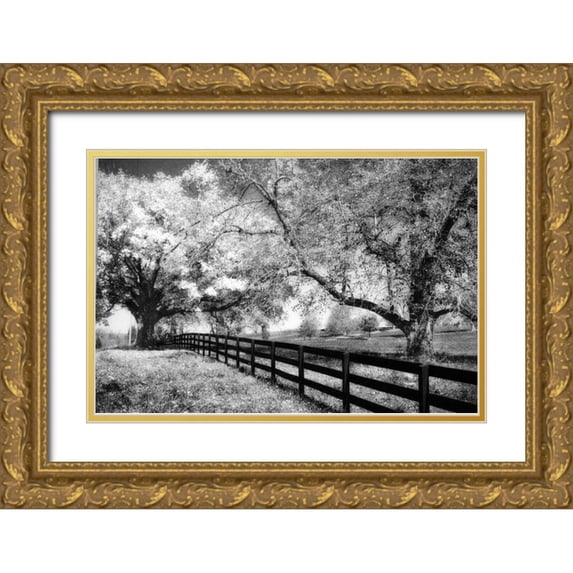 Hausenflock, Alan 32x23 Gold Ornate Wood Framed with Double Matting Museum Art Print Titled - Rural Route III3 I