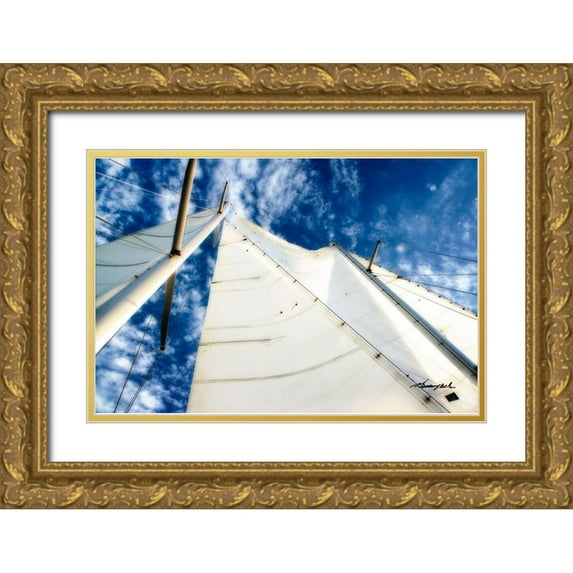 Hausenflock, Alan 32x23 Gold Ornate Wood Framed with Double Matting Museum Art Print Titled - Windjammer I