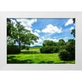 thumbnail image 1 of Hausenflock, Alan 32x23 White Modern Wood Framed Museum Art Print Titled - Barboursville, 1 of 4