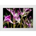 thumbnail image 1 of Hausenflock, Alan 32x23 White Modern Wood Framed Museum Art Print Titled - September Flowers, 1 of 4