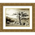 thumbnail image 1 of Hausenflock, Alan 32x25 Gold Ornate Wood Framed with Double Matting Museum Art Print Titled - Lone Pine I, 1 of 4