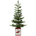 thumbnail image 1 of Haute Decor 24 Inch Potted Tree with Pinecones, Metal Pot with Classic Red Truck, 1 of 4